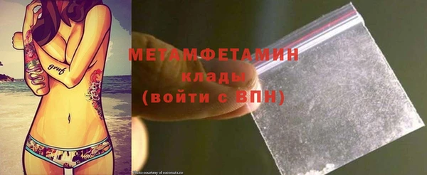 ГАЛЛЮЦИНОГЕННЫЕ ГРИБЫ Богданович