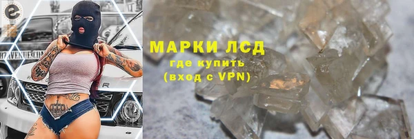 ГАЛЛЮЦИНОГЕННЫЕ ГРИБЫ Богданович