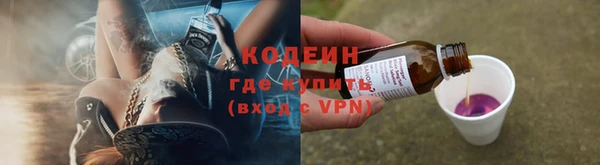 ГАЛЛЮЦИНОГЕННЫЕ ГРИБЫ Богданович