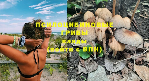 эйфоретик Богородицк