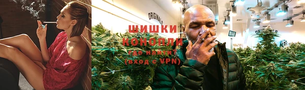 ГАЛЛЮЦИНОГЕННЫЕ ГРИБЫ Богданович