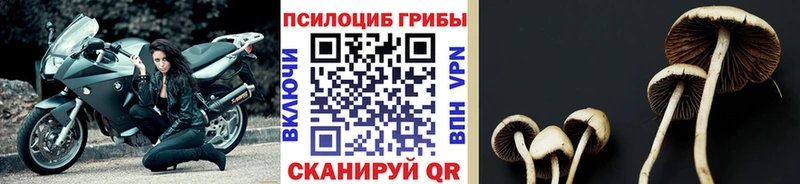 Галлюциногенные грибы мухоморы  Киржач 